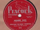 HOUND DOG - WILLIE MAE 