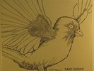 Take Flight - S/T LP - Private Psych Folk SEALED