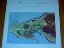 MICHAEL STEARNS PLANETARY UNFOLDING CONTINUUM MONTAGE 1981 LP RARE GREAT