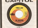 BEACH BOYS RELATED- THE SURVIVORS- 