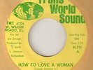 THE MANDELLS - HOW TO LOVE A WOMAN / I CANT GET ENOUGH CHICAGO NORTHERN SOUL 45