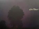 AFTERHOURS-DURING CHRISTINE'S SLEEP-RARE LP VOX POP RECORDS 1990 EX/EX