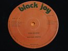 WAYNE SMITH - ISM SKISM - 12