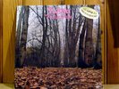 TWINK think pink UK PSYCH MUST / FR SIRE LP hear