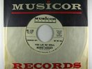 Northern Soul 45 MARIE KNIGHT You Lie So Well on Musicor wlp
