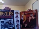 EX 1965 MONO Lp The Hollies Bus Stop Graham Nash of CSNY The Beatles Vee Jay EX