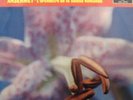 DECCA  SXL 2042  (WBg  ED1) -  ANSERMET - Rite of Spring  (Stravinsky)