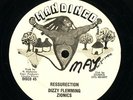 Dizzy Flemming Zionics 
