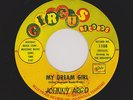 '63 Nashville TEEN R&R JOHNNY ARGO My Dream Girl/My Baby Was Gone M- HEAR BOTH