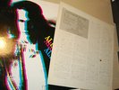ALEX CHILTON ONE DAY IN NEW YORK LP TRIO JAPAN 1978 BIG STAR