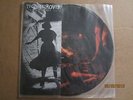 Pig Destroyer - Prowler In The Yard Picture Disc LP converge terrorizer phantom