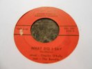 Charles O'Kelly & the Bandits What did I Say unknown GA garage on Perfection