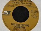 HEAR IT RARE SOUL The Electrifying Cashmeres SS7 1500 What Does It Take