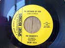 the Dramatics  northern soul 45 All Because Of You/Haven't Got Love   Sport NM