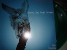 Sunny Day Real Estate Rising Tide 2 x lp green vinyl oop diary