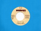 POINT OF VIEW frisco disco / why don't you SUNDOWN modern soul funk 45 RARE Hear