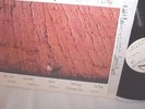 VIC CHESNUTT-LITLE-RARE AUTOGRAPHED-TEXAS HOTEL 151 NM/VG+ LP