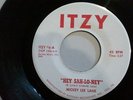MICKEY LEE LANE HEY SHA-LO-NEY 45 mod
