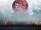 Neil Young - Cow Palace 1986, 3  x 12