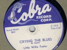 50S CHICAGO HARP  BLUES  LITTLE WILLIE FOSTER  COBRA 5011 E+ RARE  HEAR