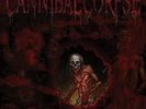 CANNIBAL CORPSE-TORTURE-500 COPIES RED/BLACK MARBLED VINYL-German Edition