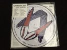 SYSTEM OF A DOWN rare limited edition STEAL THIS ALBUM PICTURE DISC dbl lp EXC
