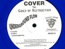 Cover The Child Of Destruction 