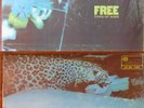 LP Free Tons of Sobs      pink Isl.