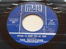 Northern Soul -The Rotations - 