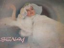 SENAY HONKI PONKI TURKISH PSYCH COSMIC DISCO FUNK MOOG SYNTH LP HEAR MP3 TURKEY