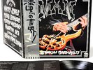 MAN maximum darkness UK Welsh Group JAPAN orig LP w/OBI rare   [FREE P+P]