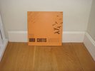 The Bird Curtis Quintet