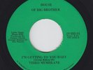Funk 45 - Third Membrane - Getting To You Baby - House Of Big Brother - mp3