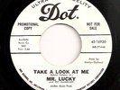 MR. LUCKY Take A Look At Me TOUGH GARAGE 45 on Dot WLP minty HEAR IT