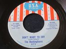 BUCKINGHAMS Don’t Want To Cry Summertime U.S.A. Garage FUZZ 45 HEAR