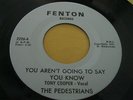 Hear rare Michigan Garage 45: The Pedestrians on fenton - Unpredictable Kinsey
