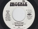Funk 45 - Magnum - Evolution - Phoenix - mp3