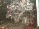 la dispute Wildlife Vinyl Green Clear Touche Amore Defeater Wonder  Title Fight