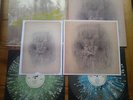 The Fog OST Soundtrack (John Carpenter/Death Waltz Ltd edition Splatter, Mint)
