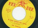 Northern -- Ithacas - If you want my love / Gonna fix you good {Fee Bee}