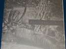 PRURIENT + WILT - Blood Of The Lamb - LP