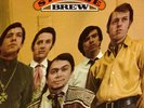 THE BREW. A VERY STRANGE BREW. ORIGINAL GARAGE PSYCH LP.