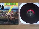 Hot Snakes thunder down under LP purple wax rftc drive like jehu pitchfork obits
