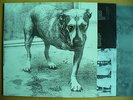 ALICE IN CHAINS same 2-LP grunge pearl jam nirvana metallica radiohead deftones