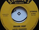 BOBBY DAVIS & THE SENSATION / DOGGONE RIGHT / LISTEN