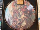 The Lord Of The Rings - Soundtrack - Limited Collectors Edition - 2x LP - Vinyl