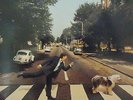 PAUL McCARTNEY - Paul Is Live   GATEFOLD 2 x VINYL LP + INNERS
