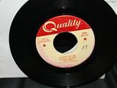 Gordon Lightfoot Lessons In Love Two Tones Terry Whalen 1962 Rare Canadian