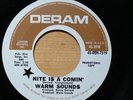 Warm Sounds Nite Is A Comin / Smeta Murgaty Freakbeat Mod Pop Psych WLP PROMO 45