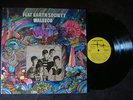 FLAT EARTH SOCIETY- WALLECO - orig 67 East Coast Teen Garage Fuzz PSYCH